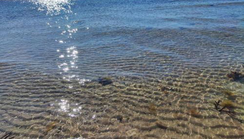 Ferienhaus kleiner Leuchtturm - Steuerbord Fehmarn Kopendorf - mit Garten und Terrasse - Foto 5