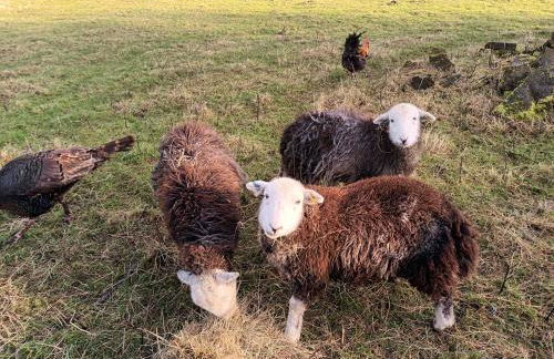 Stones Cottage Farm, nr Haworth, family friendly, work friendly, gaming barn, hot tub, free wifi, free parking, EV point - Foto 25