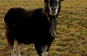 Agroturystyka Natura - Foto 5