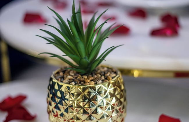 Suite jacuzzi - Foto 14