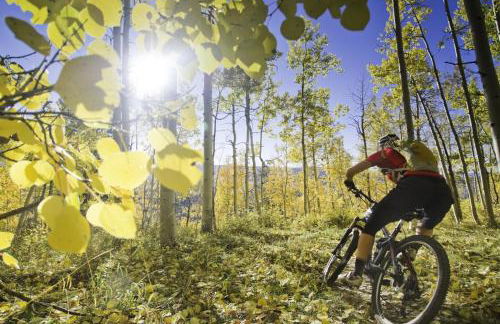 Mountain Peak Home - Foto 30