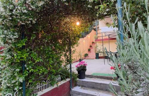 Daniel studio - Foto 17