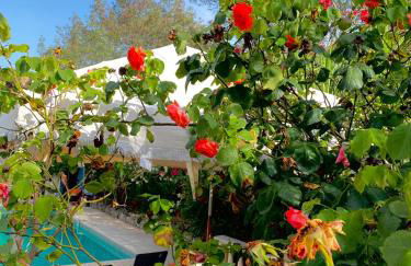 Villa Daurus - Foto 57