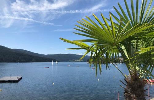 Ferienwohnung Schwarzwaldnest Feldberg - Foto 36