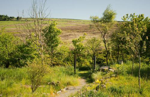 Daisy Bank Camp - Photo 20