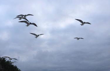 Apartament Bryza z ogródkiem - Foto 6