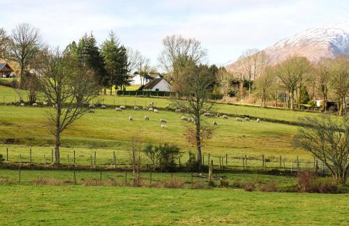 The Four Oaks Chalet - Foto 27