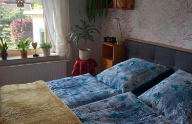 Harz und Gemütlich - Foto 12