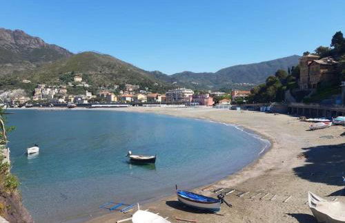 azienda agricola zulin casa elena - Foto 4