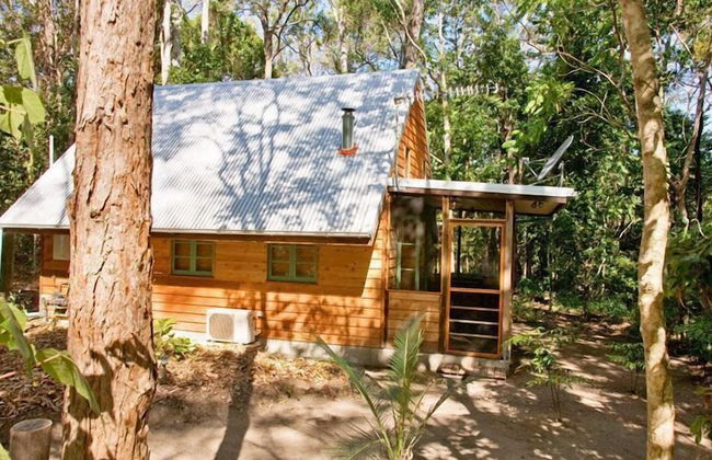 Rainforest Ranch - Photo 22