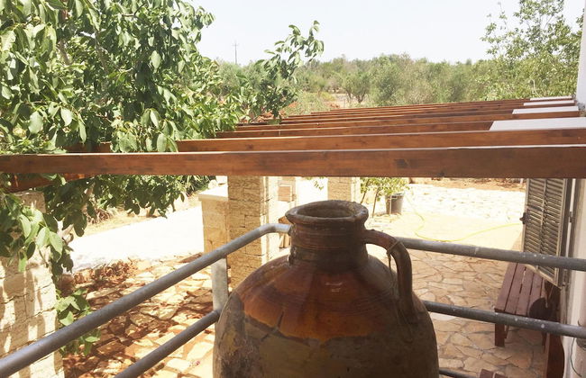 Casale Cappuccini - Foto 34