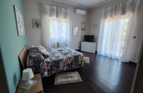 Il tulipano - Foto 6