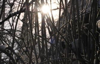 Lieblingsplatz - Foto 26