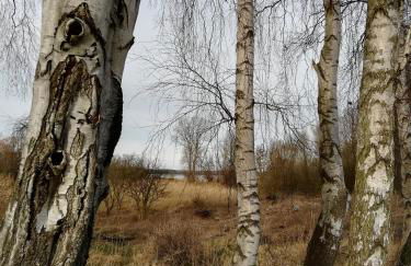 Ferienwohnung Blaue Sonne Devin - Foto 27