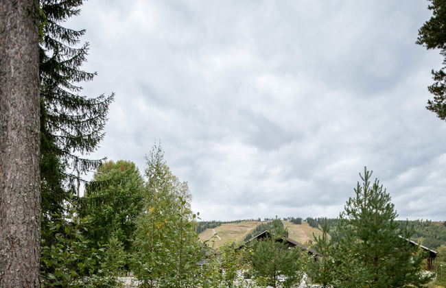 Tahkon klubitie 2 b - Foto 19