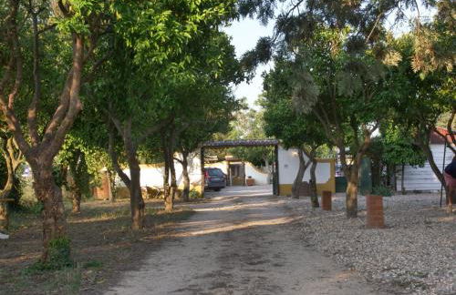 Páteo das Laranjeiras - Foto 38