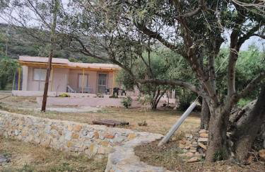 Sun and Sea 2 Elika Lakonias - Foto 8