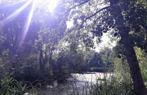 Domaine de La Coudouliere, Vue Mer, Plage, Piscine et Parc - Foto 69