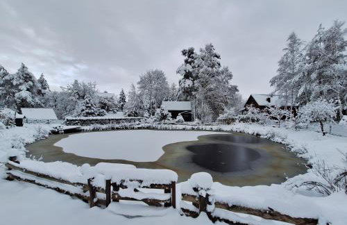 Przystanek Soszyca - Foto 26