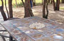 Apartament Szyszka w ogrodzie - Foto 13