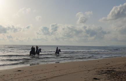 Casa on large property with private Pool - Foto 35