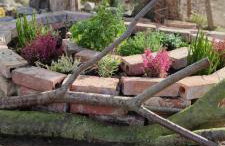 Żurawisko - Domki wśród natury - Foto 70