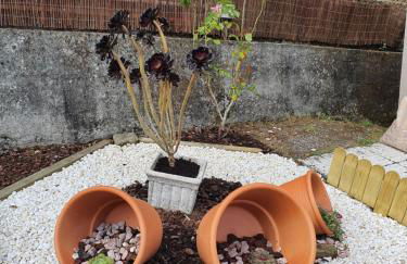 casa Francelos - Foto 6