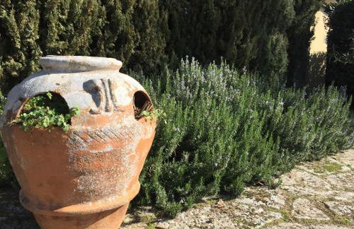 Villa Il Padule - Foto 73