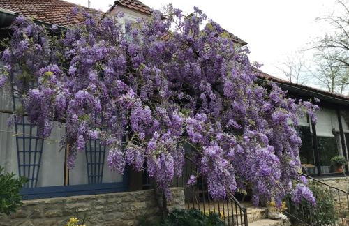 La Tour Des Quatre Chemins - Foto 70
