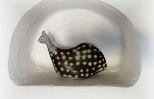 Vila Saraz Alqueva - Foto 31