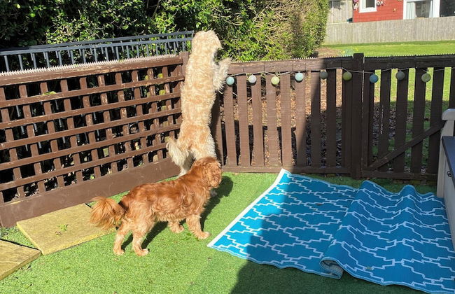 Large 3 bed Chalet -sleeps 6- dog Friendly- Garden - Foto 14