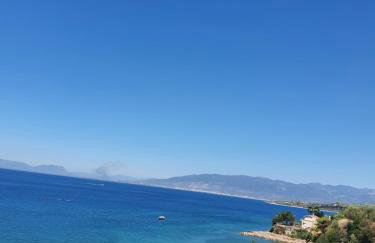 Cape Kitries - Photo 67