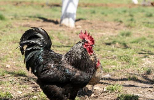 Dream House - Foto 28