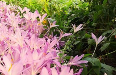 Die Malche Gäste und Tagungshaus 27 - Foto 10