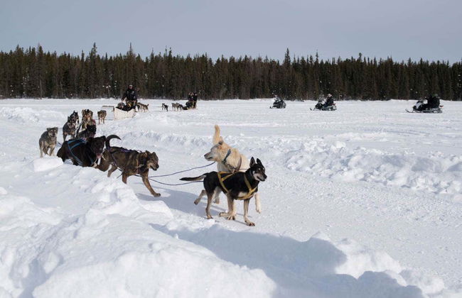 Paseo en trineo de perros husky - Foto 2