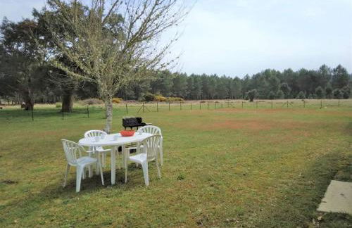 LE PETIT FROUAS NORD - Foto 1