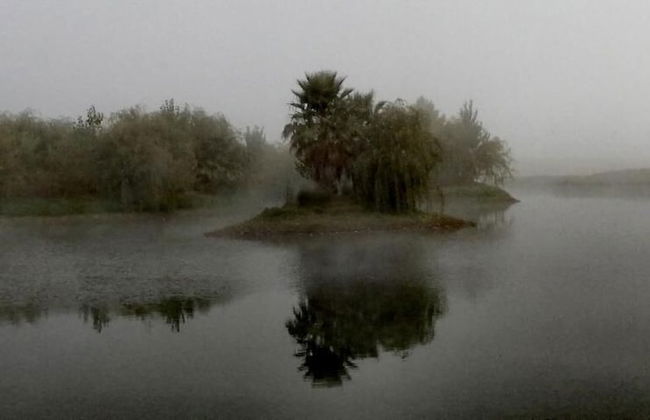 Herdade da Diabroria - Foto 52