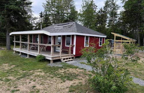 Saltwater Serenade - Foto 3