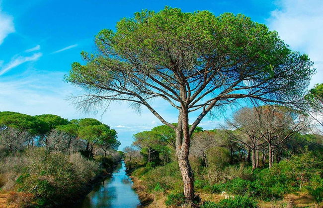 Agriturismo Al Vermigliano - Foto 30