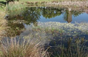 Moderne Wohnung im Herzen der Natur - Ingo's Dream - Foto 14