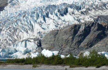 Sluice Box - Affordable, Convenient, and near Mendenhall Glacier- DISCOUNTS ON TOURS! - Foto 29
