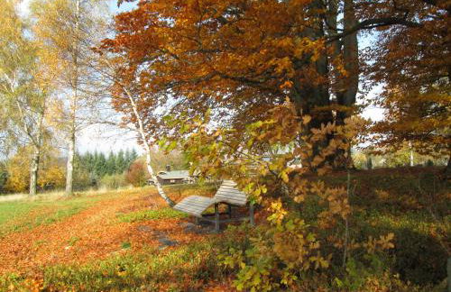 Apartment am Buchenhain - Foto 21