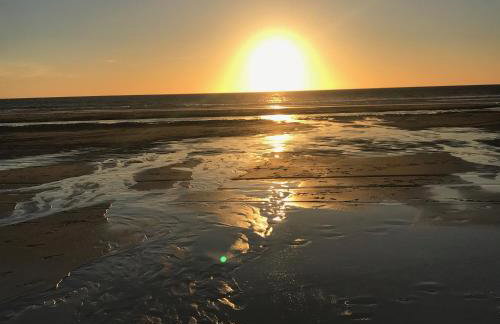 Robins nest, near Sennen Cove, 14 Beaches, Minack - Photo 35