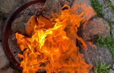 2 Ferienhäuser im Doppelpack für Naturliebhaber, strandnah, ruhig, mit großen Gärten - Foto 63