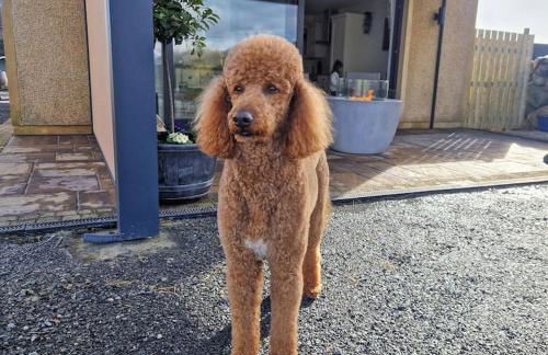 Gleann Ciuin - Photo 10