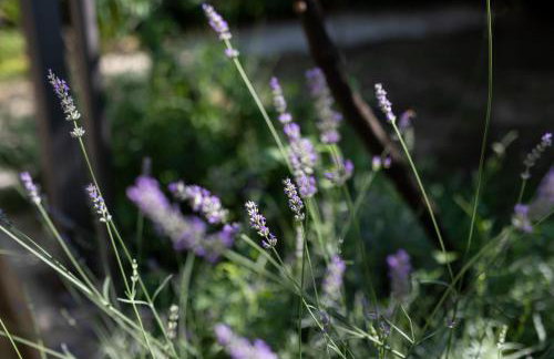 Villa Verde Royal - Foto 43