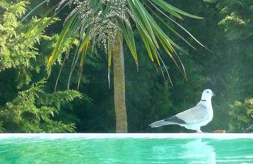 Luxurious private 100sqm studio with infinity pool - Foto 20