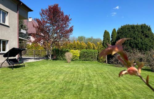 Dolce Vita - Photo 54