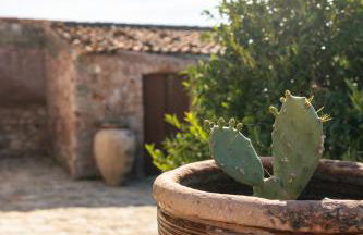 Kubos Agrirelais - Foto 46