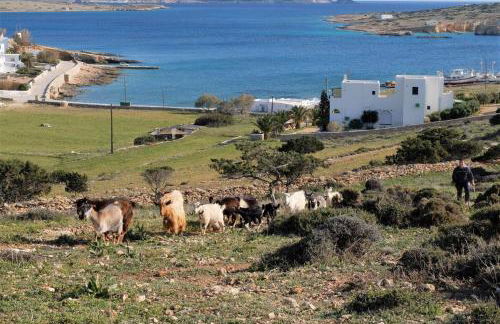 Alkionides Studios - Foto 8